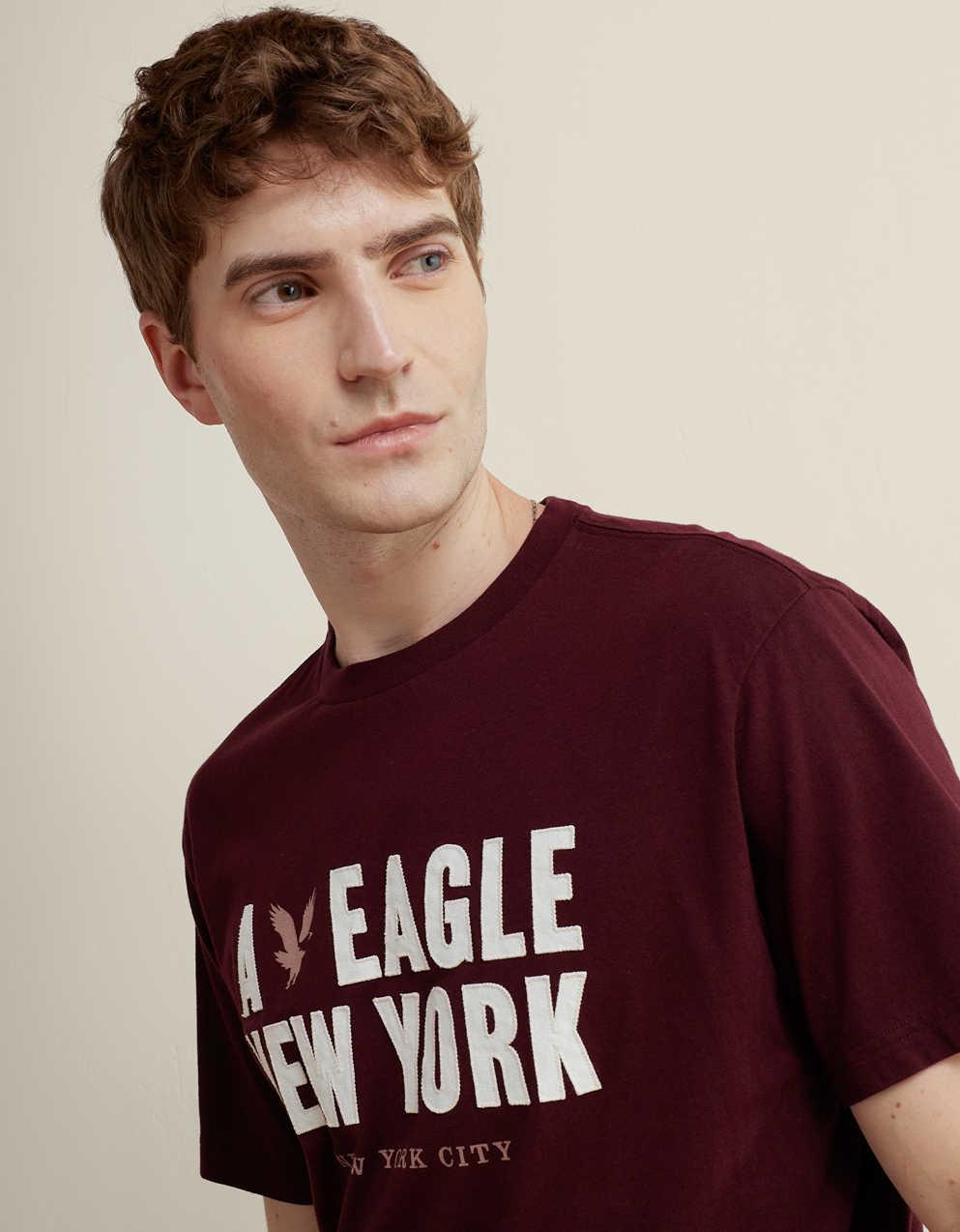 AE Standard Fit Applique Graphic T-Shirt