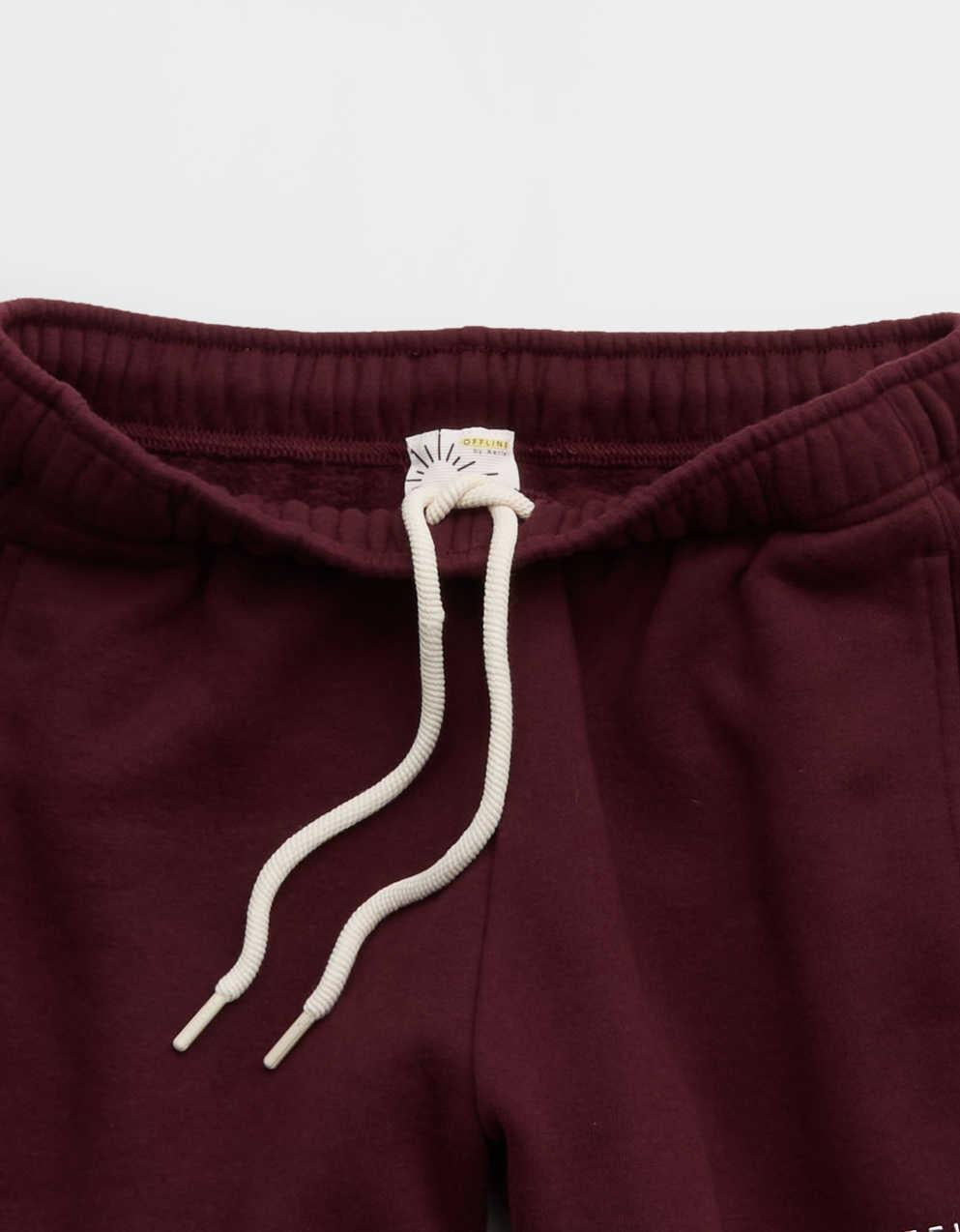OFFLINE By Aerie 3" Cloud Fleece Short