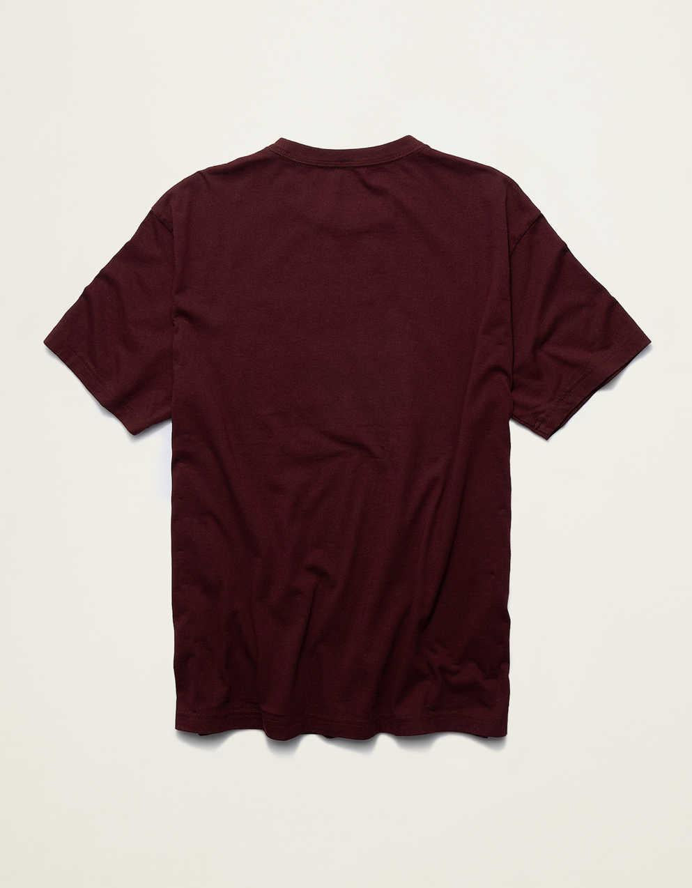 AE Standard Fit Applique Graphic T-Shirt