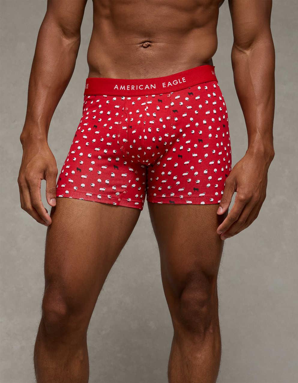 AEOメンズ4.5インチ・クラシック・ボクサー・ブリーフ