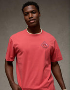 AE スタンダードフィット デスティネーション グラフィックTシャツ