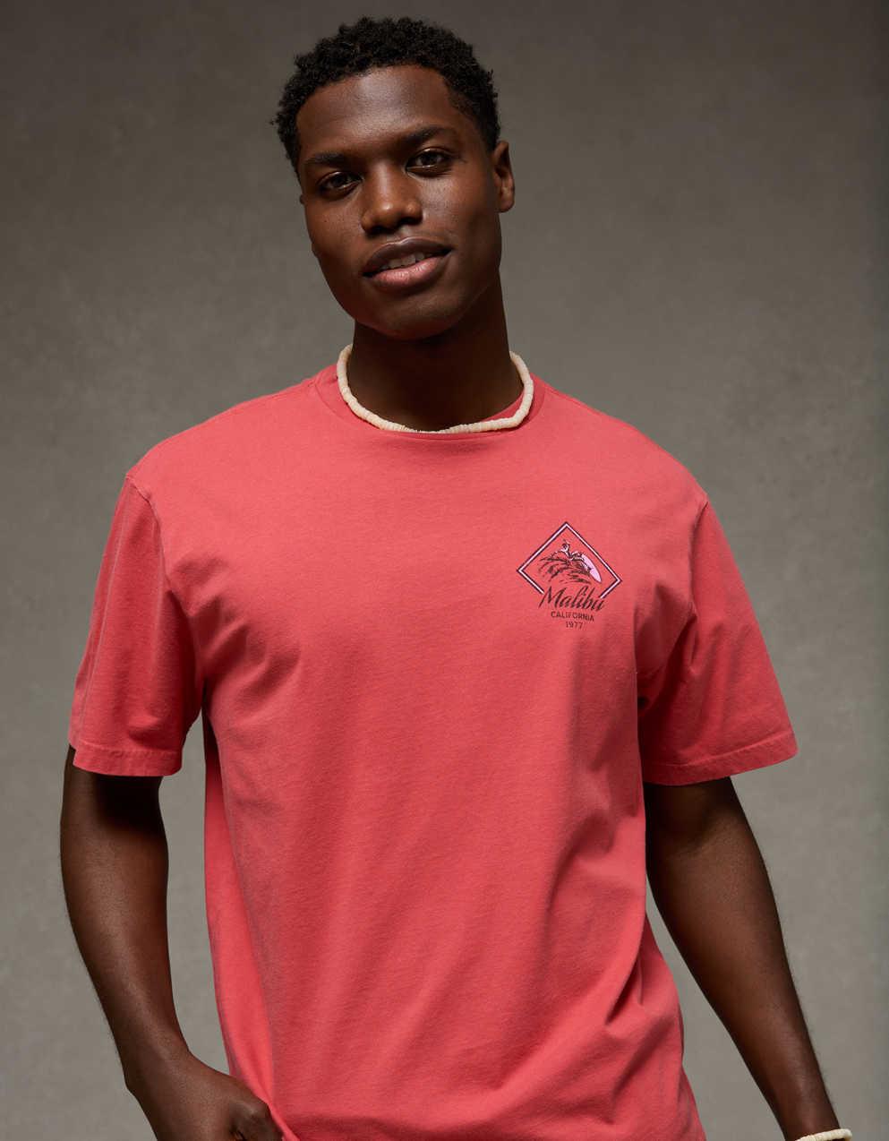 AE スタンダードフィット デスティネーション グラフィックTシャツ