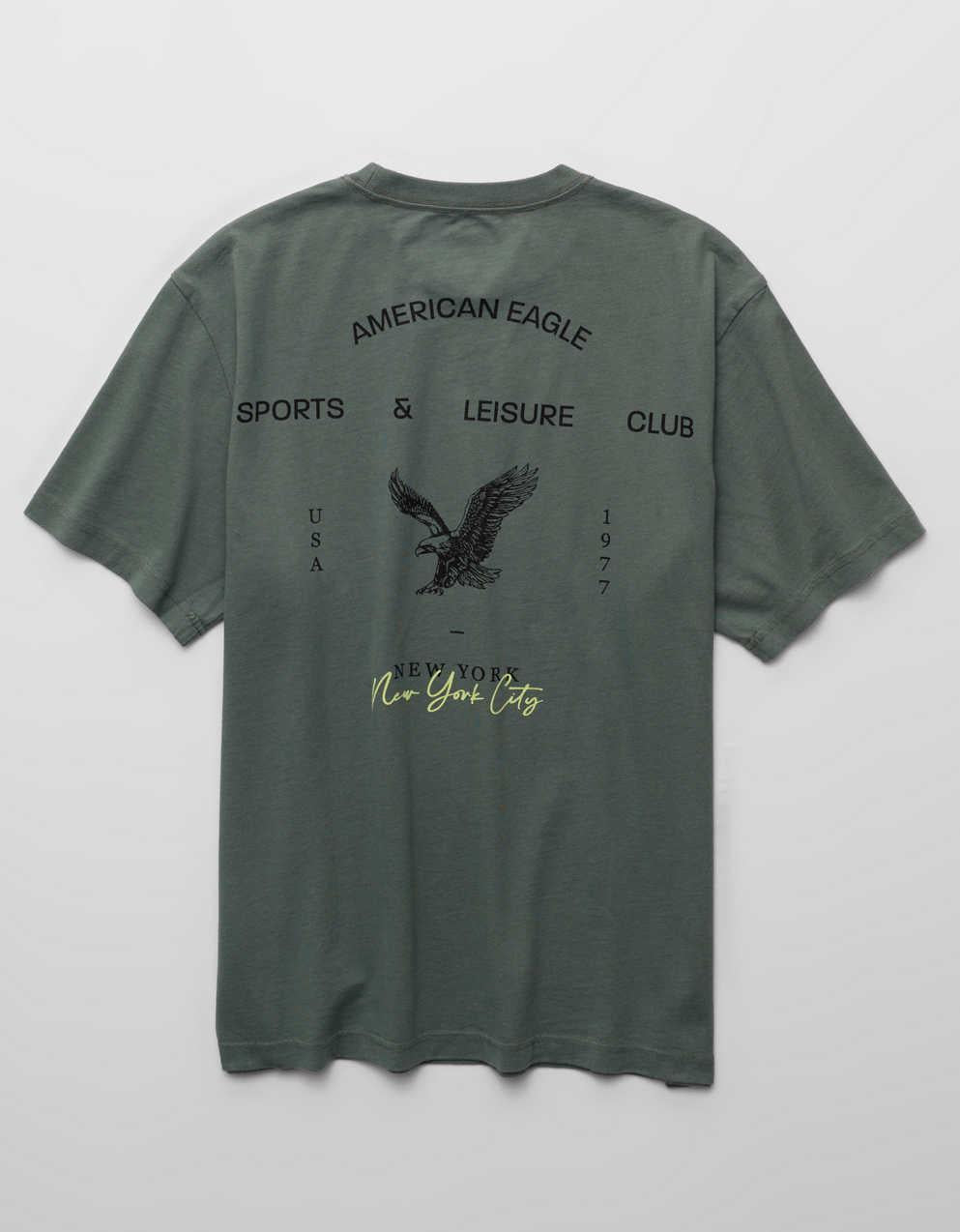 AE スタンダード・フィット・グラフィックTシャツ
