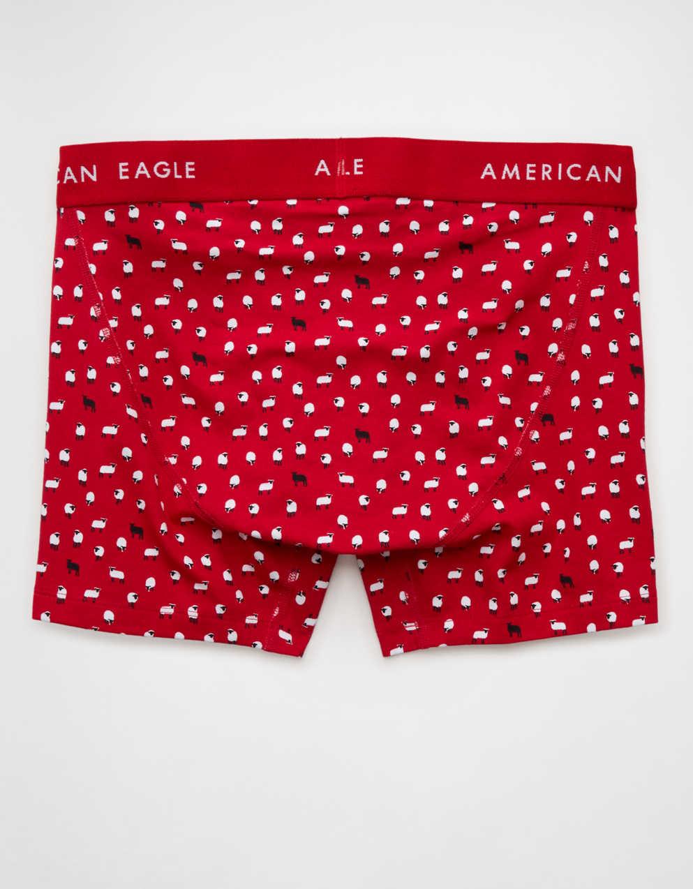 AEOメンズ4.5インチ・クラシック・ボクサー・ブリーフ