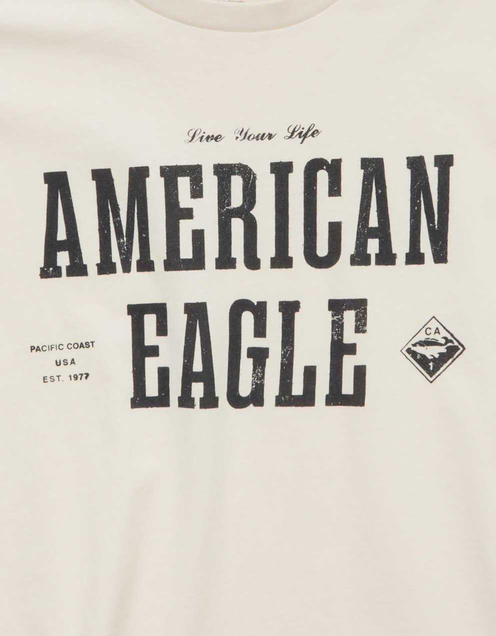 AE スタンダード・フィット・グラフィック・ロゴTシャツ