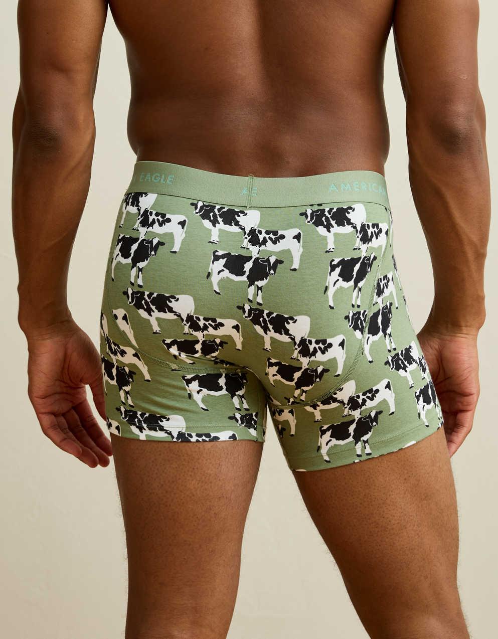 AEO Men's 4.5" Classic Boxer Brief