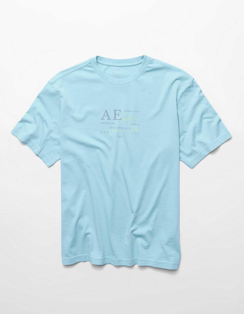AE スタンダード・フィット・グラフィックTシャツ