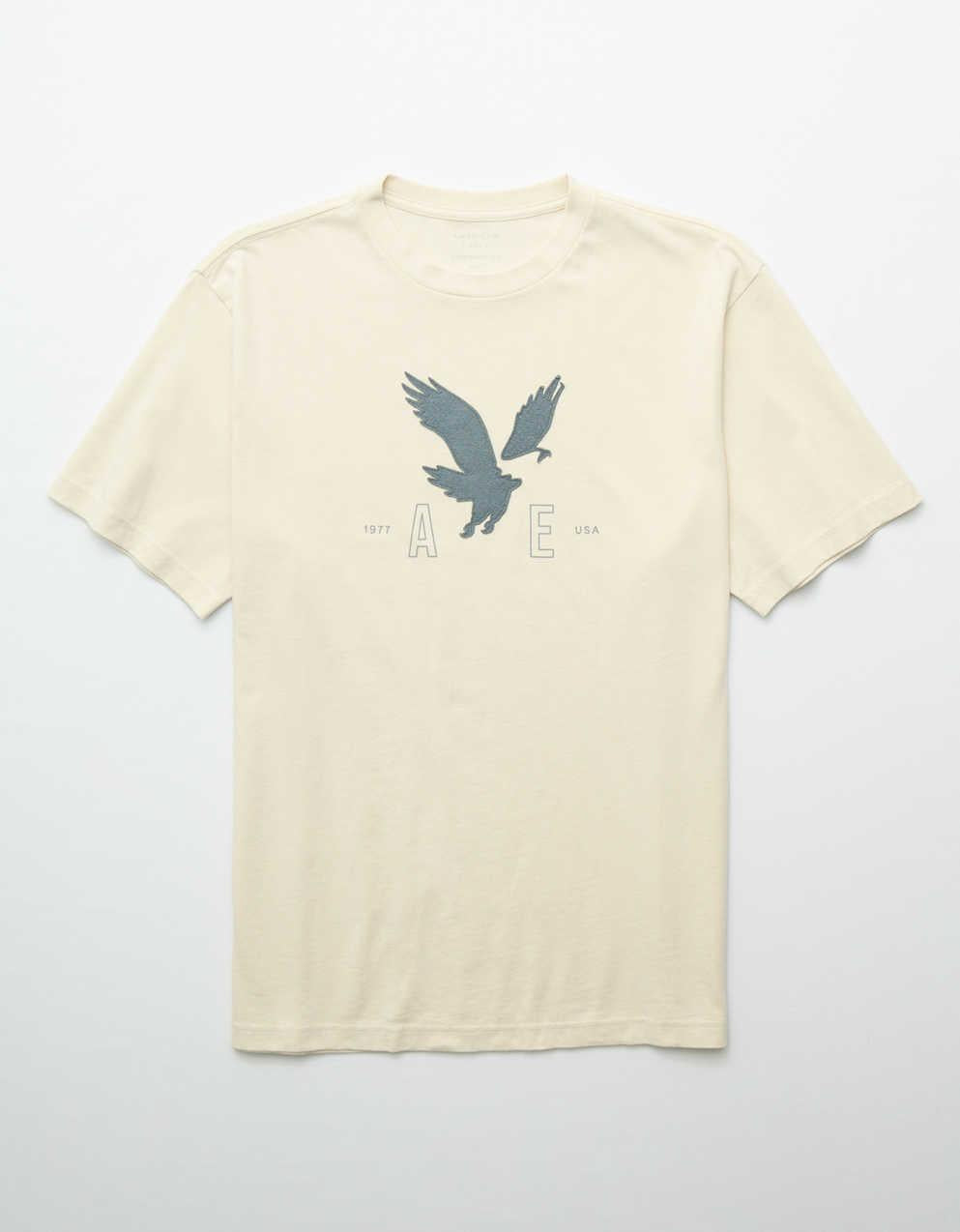 AE グラフィックTシャツ