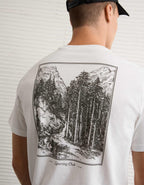 AEスタンダードフィットロゴグラフィックTシャツ
