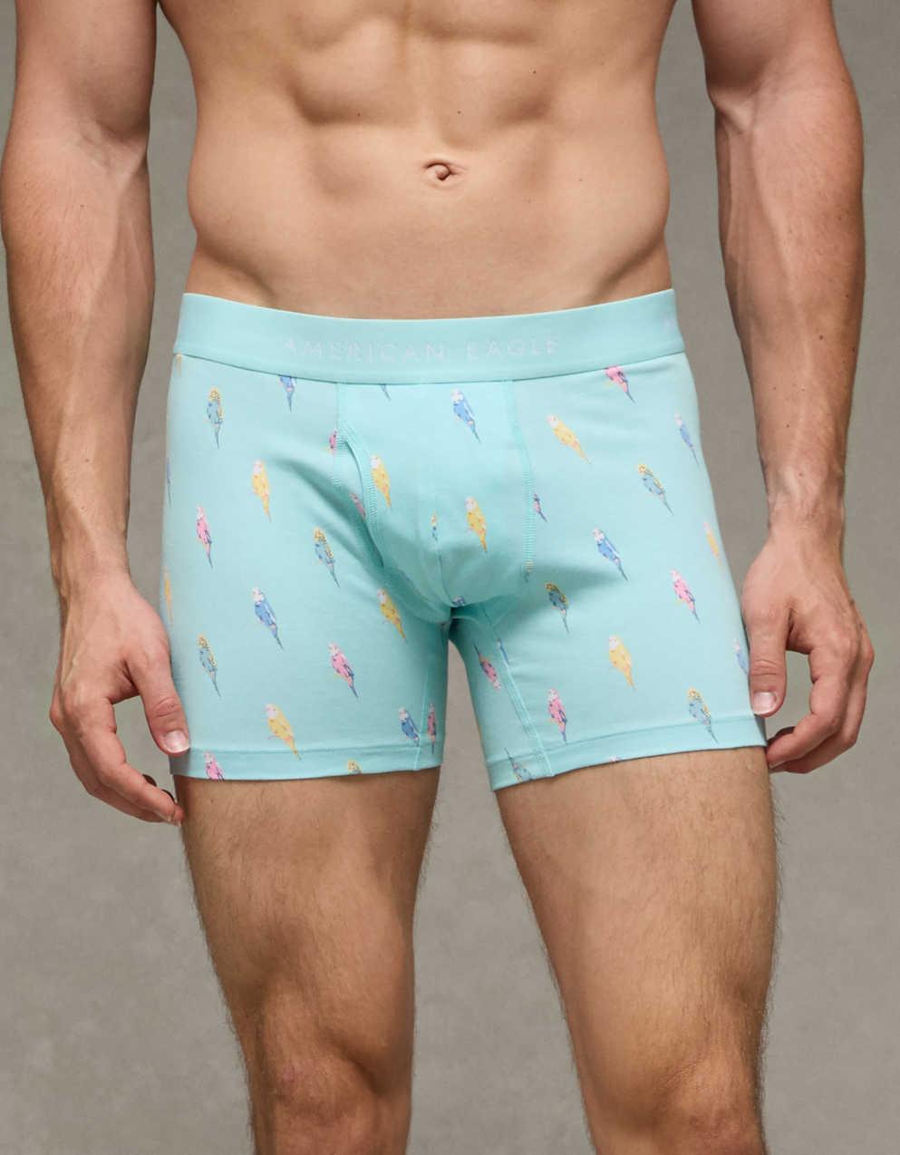 AEOメンズ4.5インチ・クラシック・ボクサー・ブリーフ
