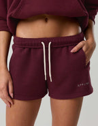 OFFLINE By Aerie 3" Cloud Fleece Short