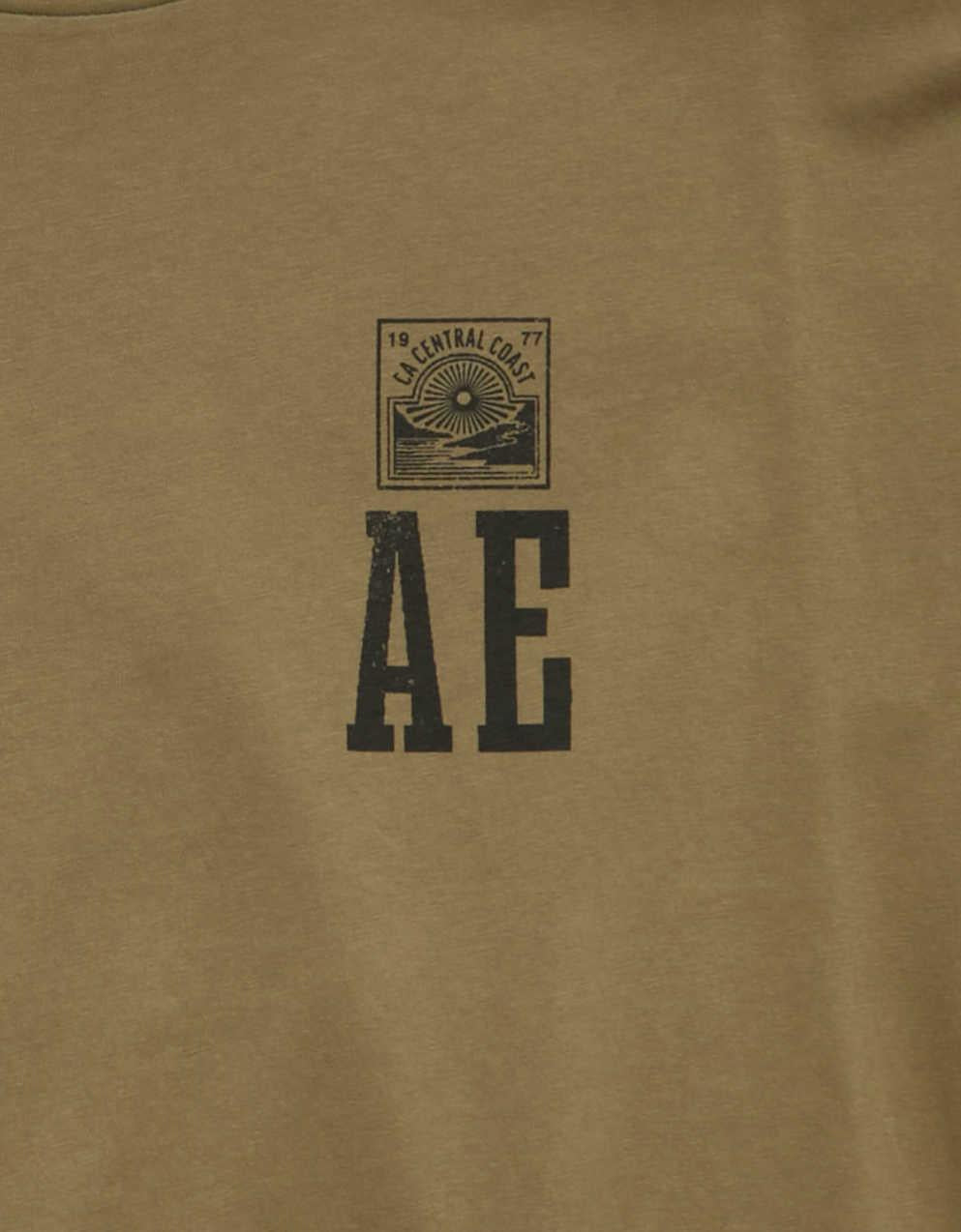 AEスタンダードフィットロゴグラフィックTシャツ