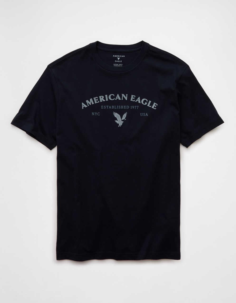AEライトウェイト・アイコン・ロゴ・グラフィックTシャツ
