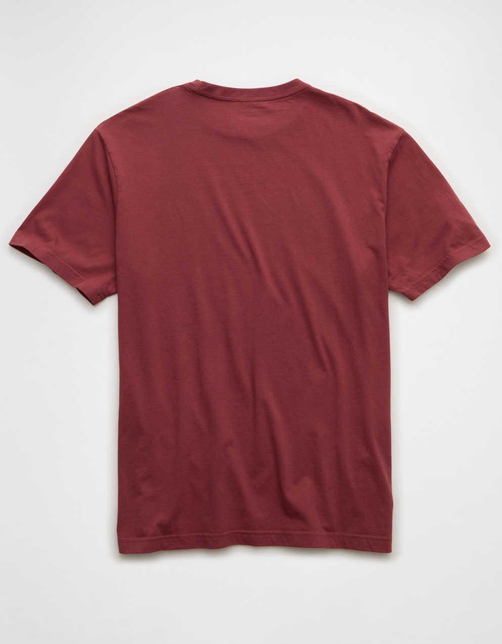 AE Standard Fit Logo Graphic T-Shirt
