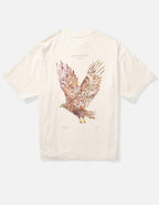 AEオーバーサイズ・グラフィックTシャツ