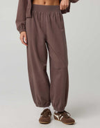 OFFLINE By Aerie OG Cotton Baggy Jogger