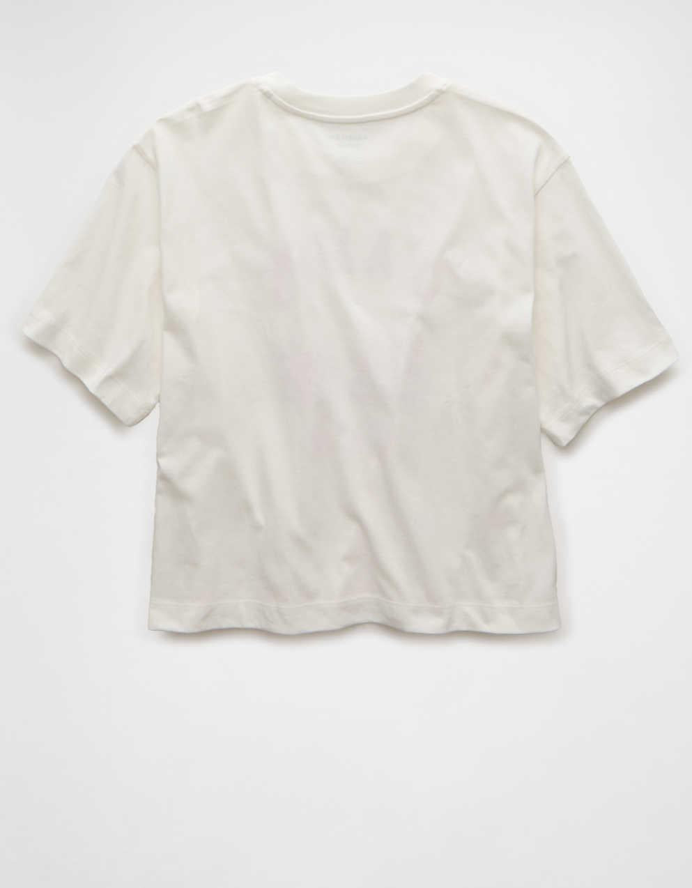 AEボクシー・デスティネーション・グラフィックTシャツ