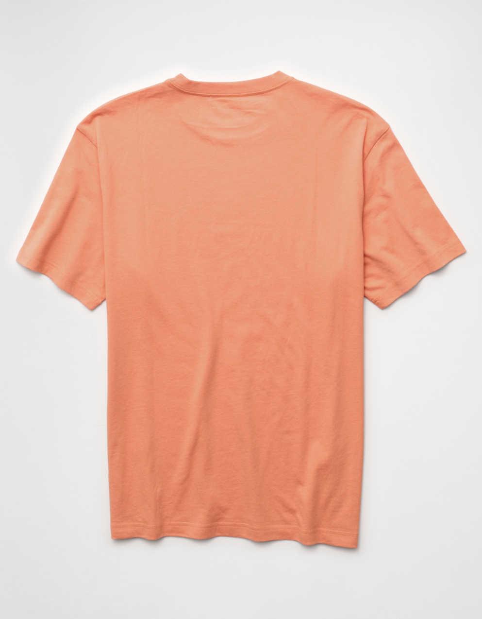 AE スタンダード・フィット ライトウェイト ロゴ グラフィック Tシャツ
