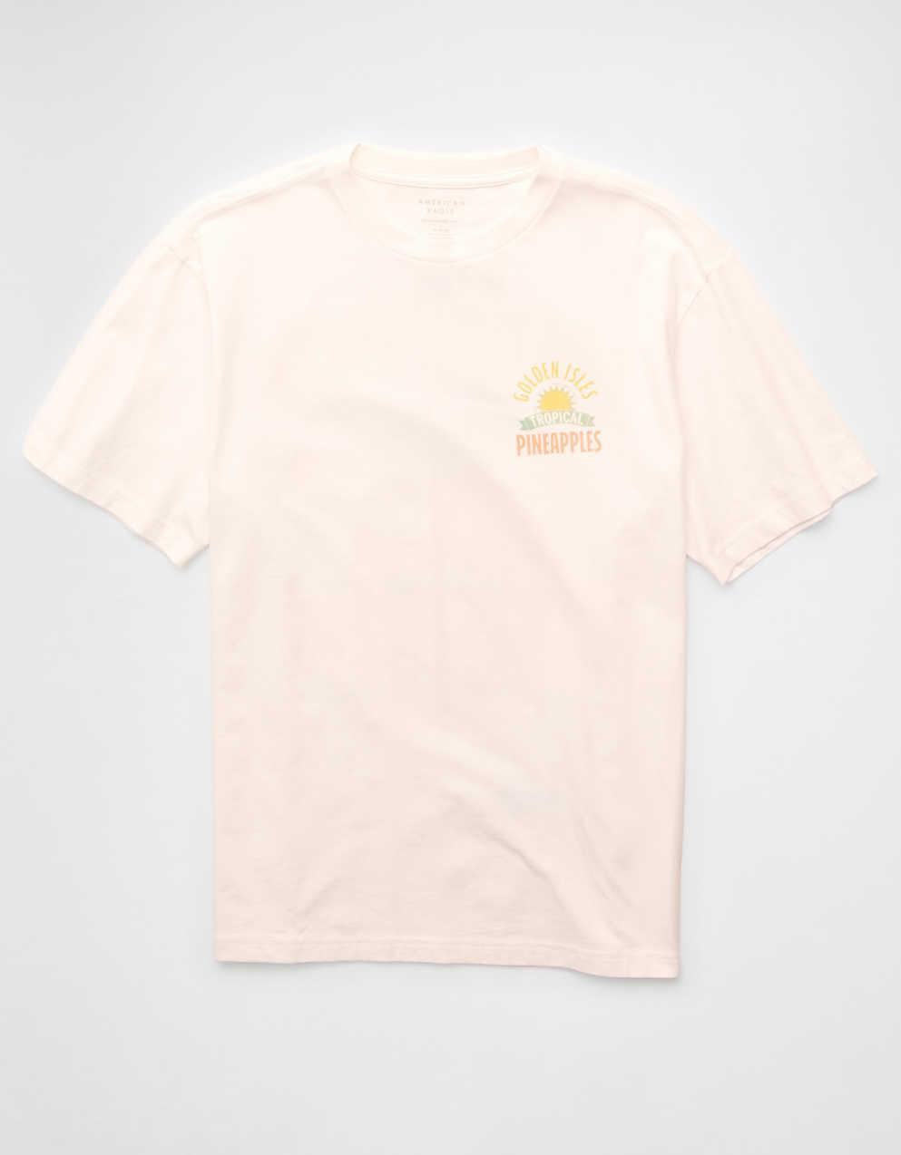 AE スタンダードフィット デスティネーション グラフィックTシャツ