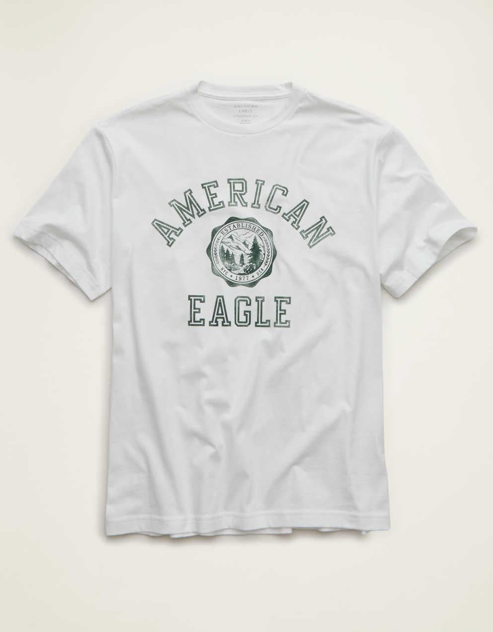 AE スタンダード・フィット・グラフィック・ロゴTシャツ