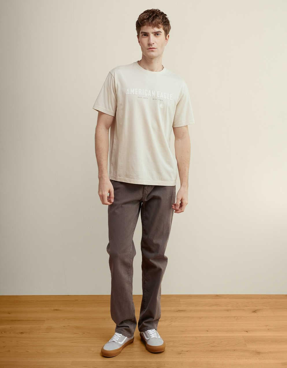 AE スタンダードフィット アップリケ柄Tシャツ