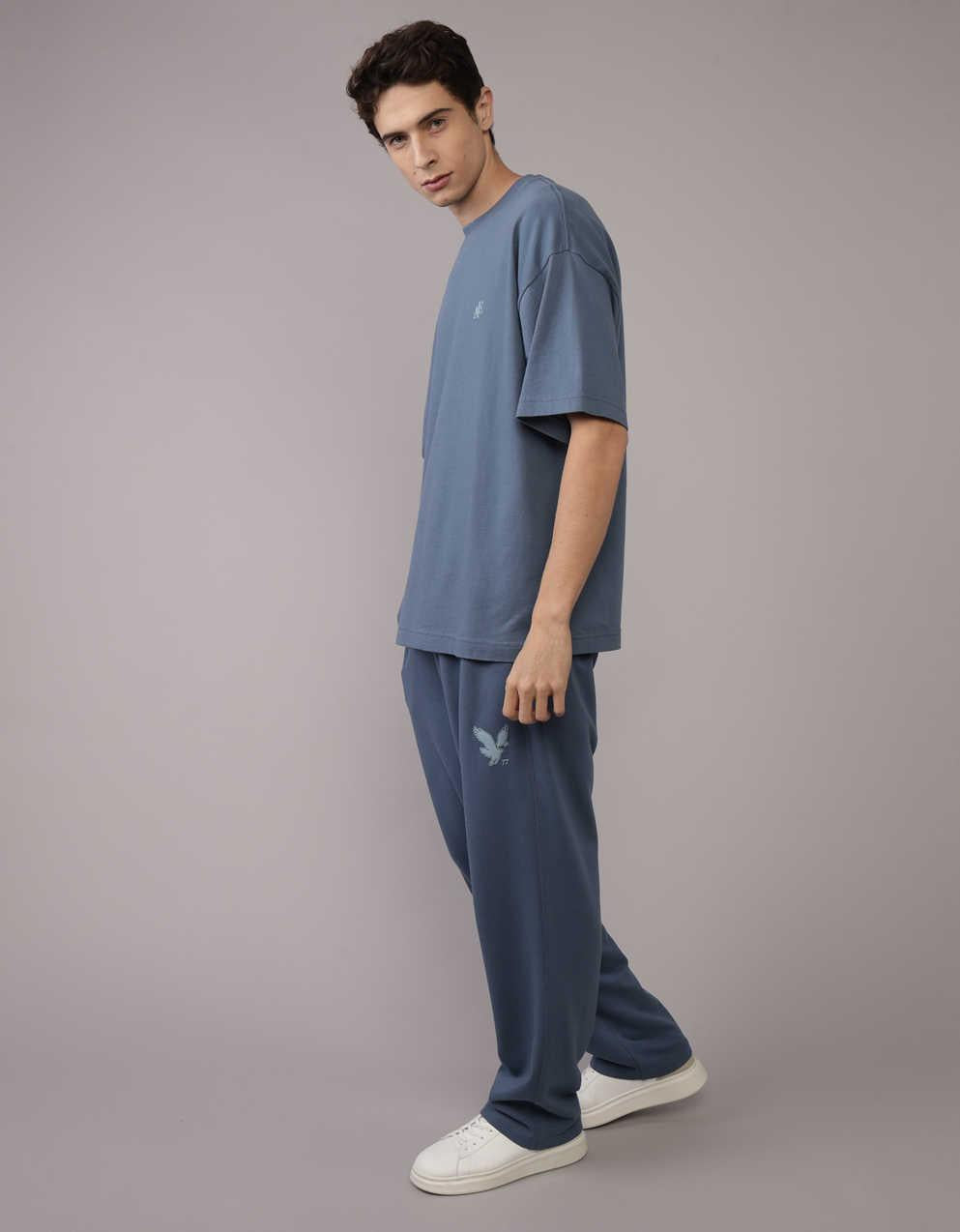 AEアイコンロゴグラフィックTシャツ