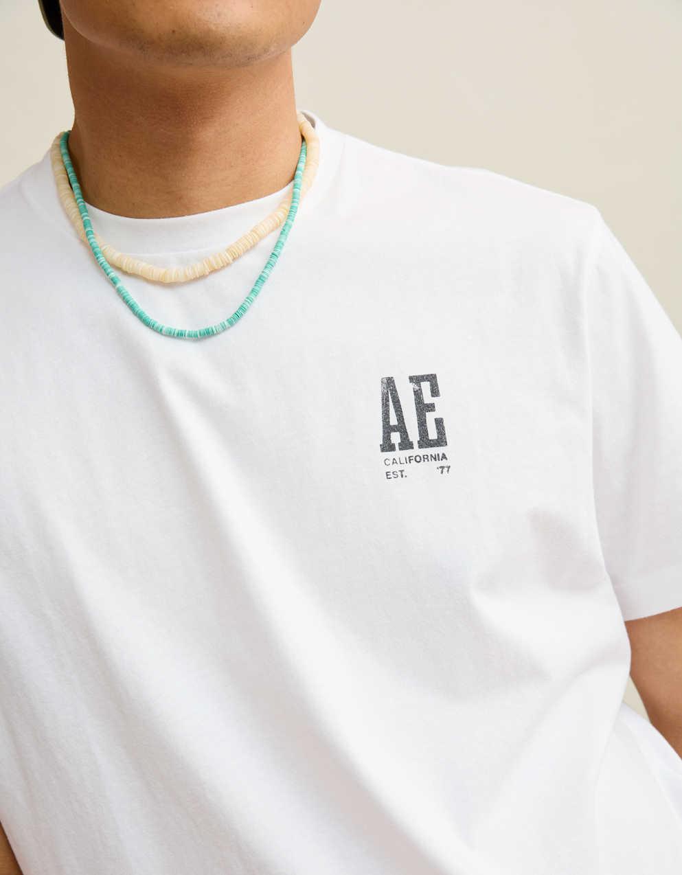 AE スタンダード・フィット・グラフィック・ロゴTシャツ