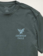 AE スタンダード・フィット・グラフィック・ロゴTシャツ