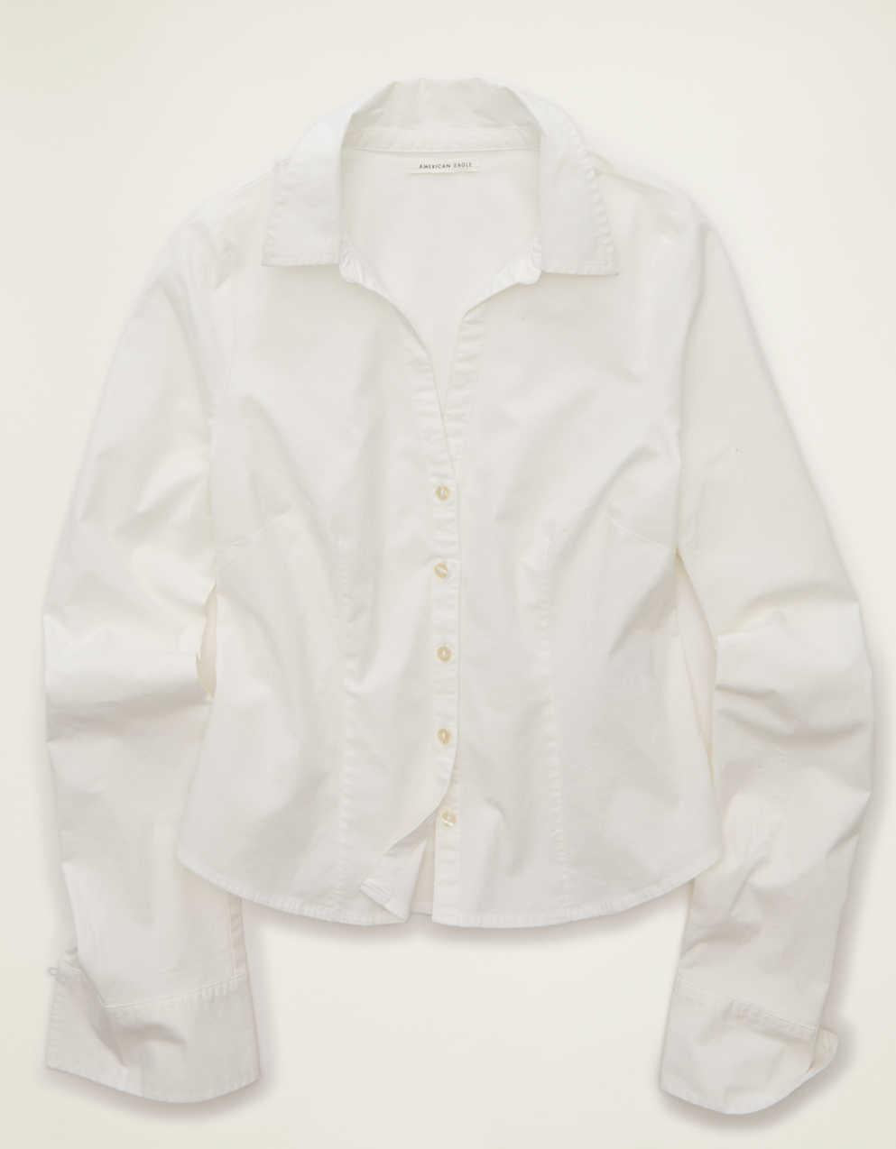 AE Fitted Poplin Button-Up Shirt