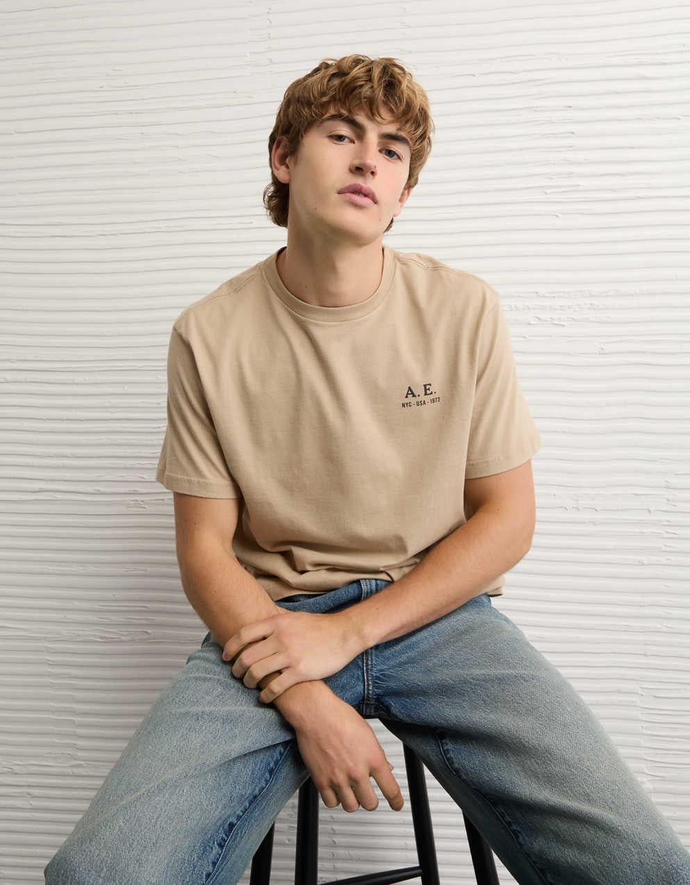 AE Standard Fit Logo Graphic T-Shirt