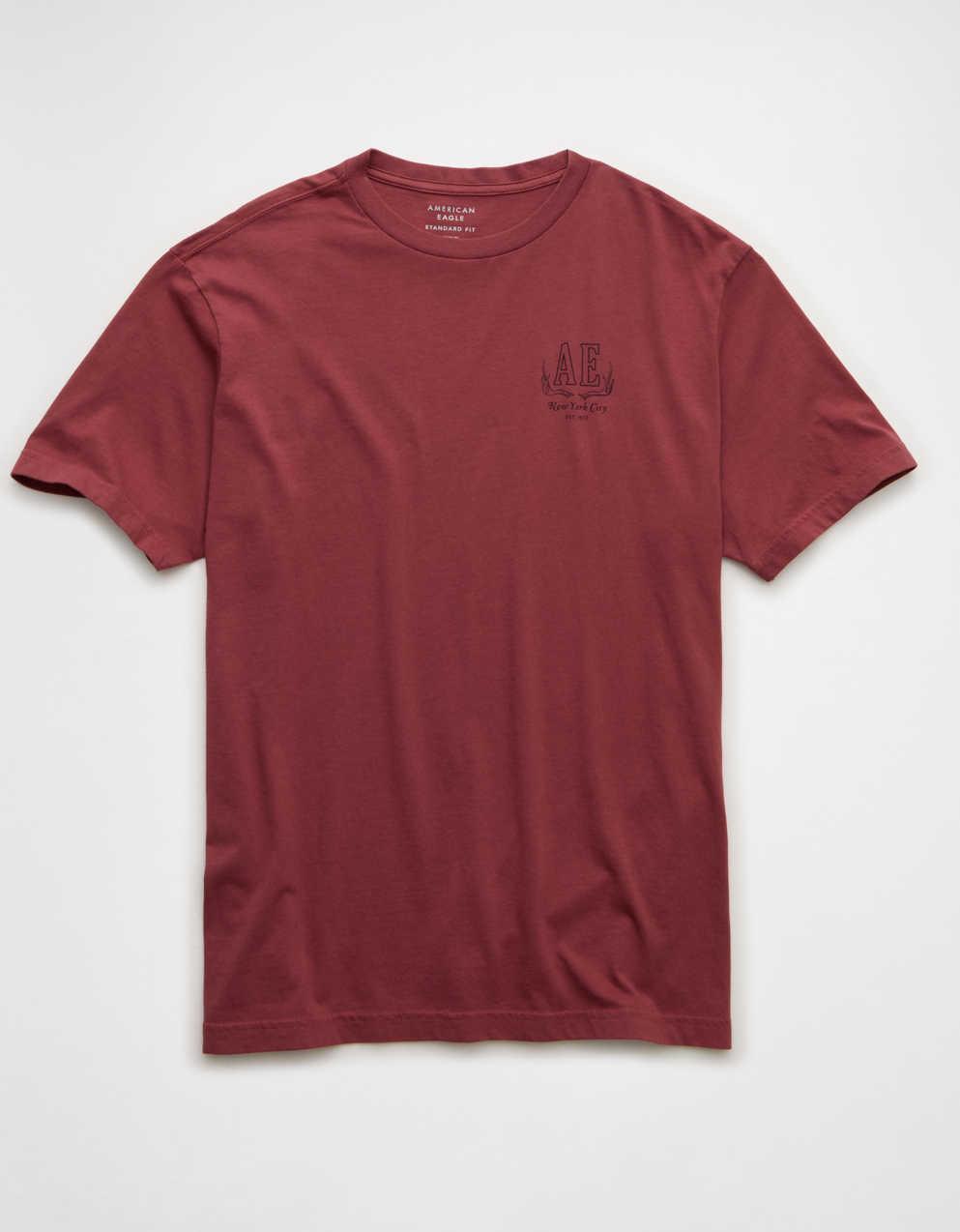 AEスタンダードフィットロゴグラフィックTシャツ