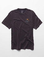 AE スタンダード・フィット・グラフィックTシャツ