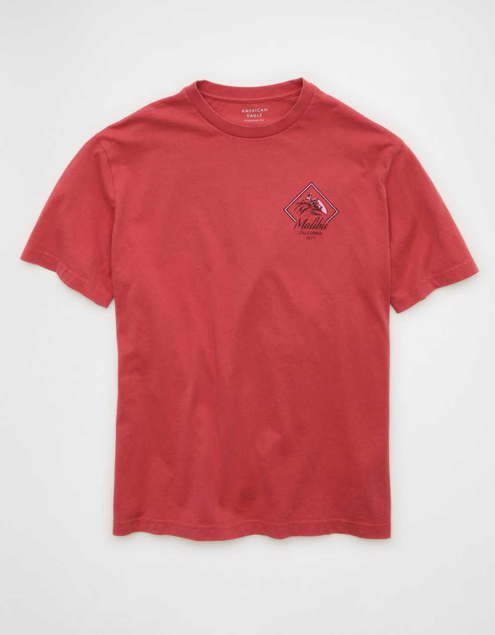 AE スタンダードフィット デスティネーション グラフィックTシャツ
