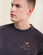 AE スタンダード・フィット・グラフィックTシャツ