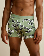 AEO Men's 4.5" Classic Cotton Boxer Brief