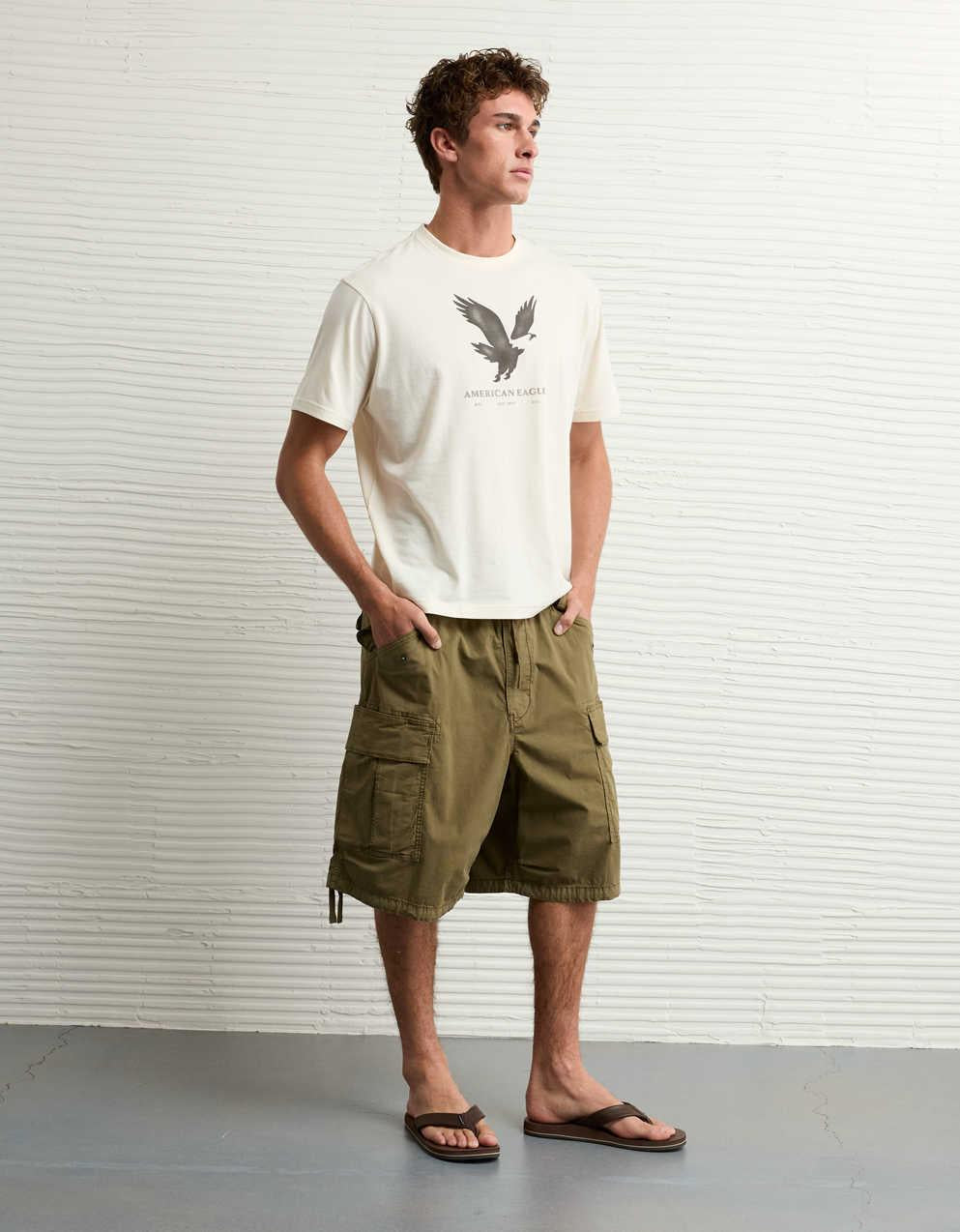 AEライトウェイト・アイコン・ロゴ・グラフィックTシャツ