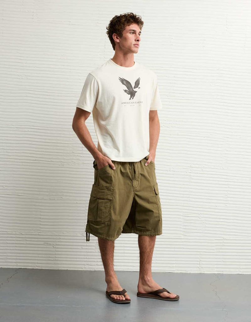 AEライトウェイト・アイコン・ロゴ・グラフィックTシャツ