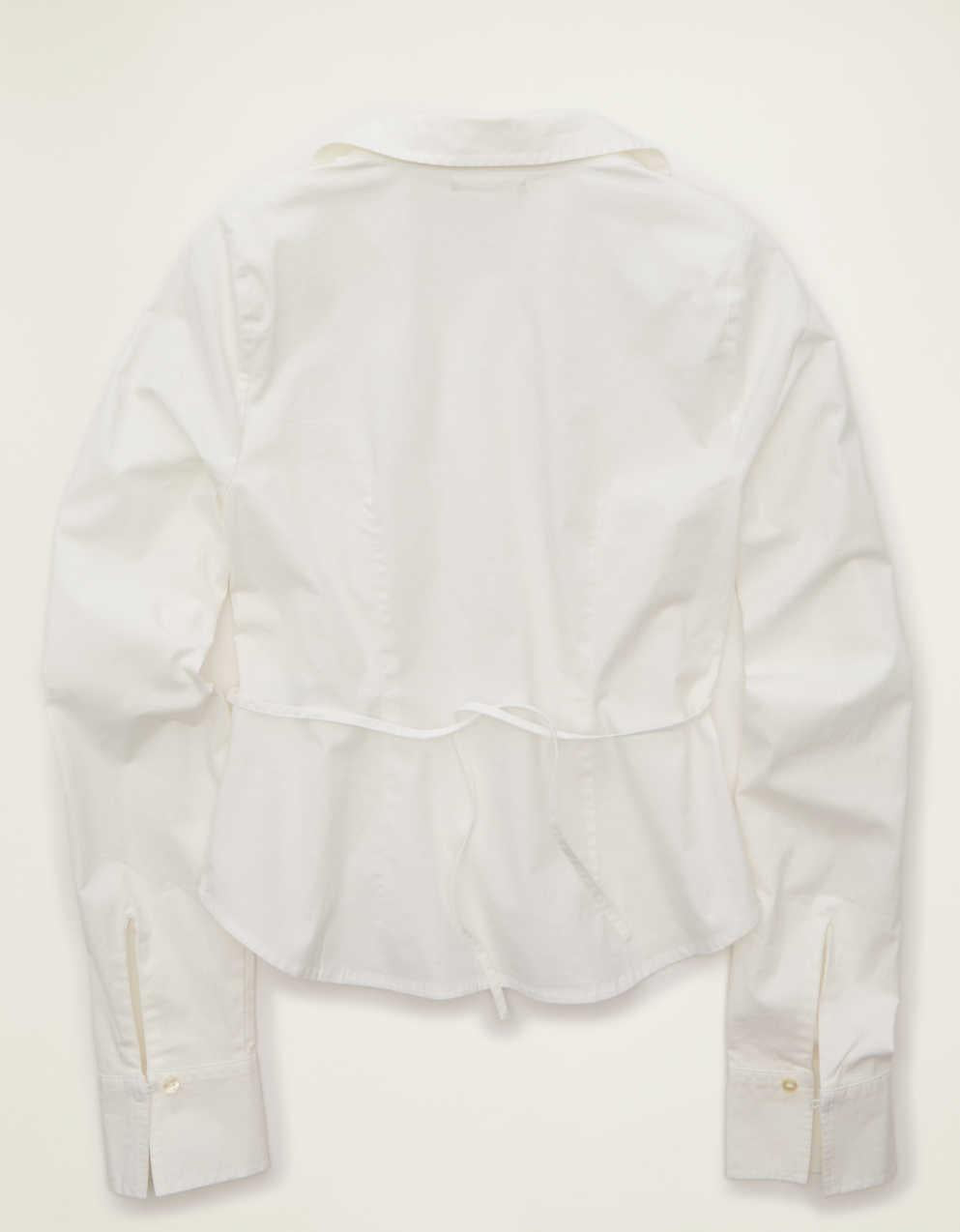 AE Fitted Poplin Button-Up Shirt