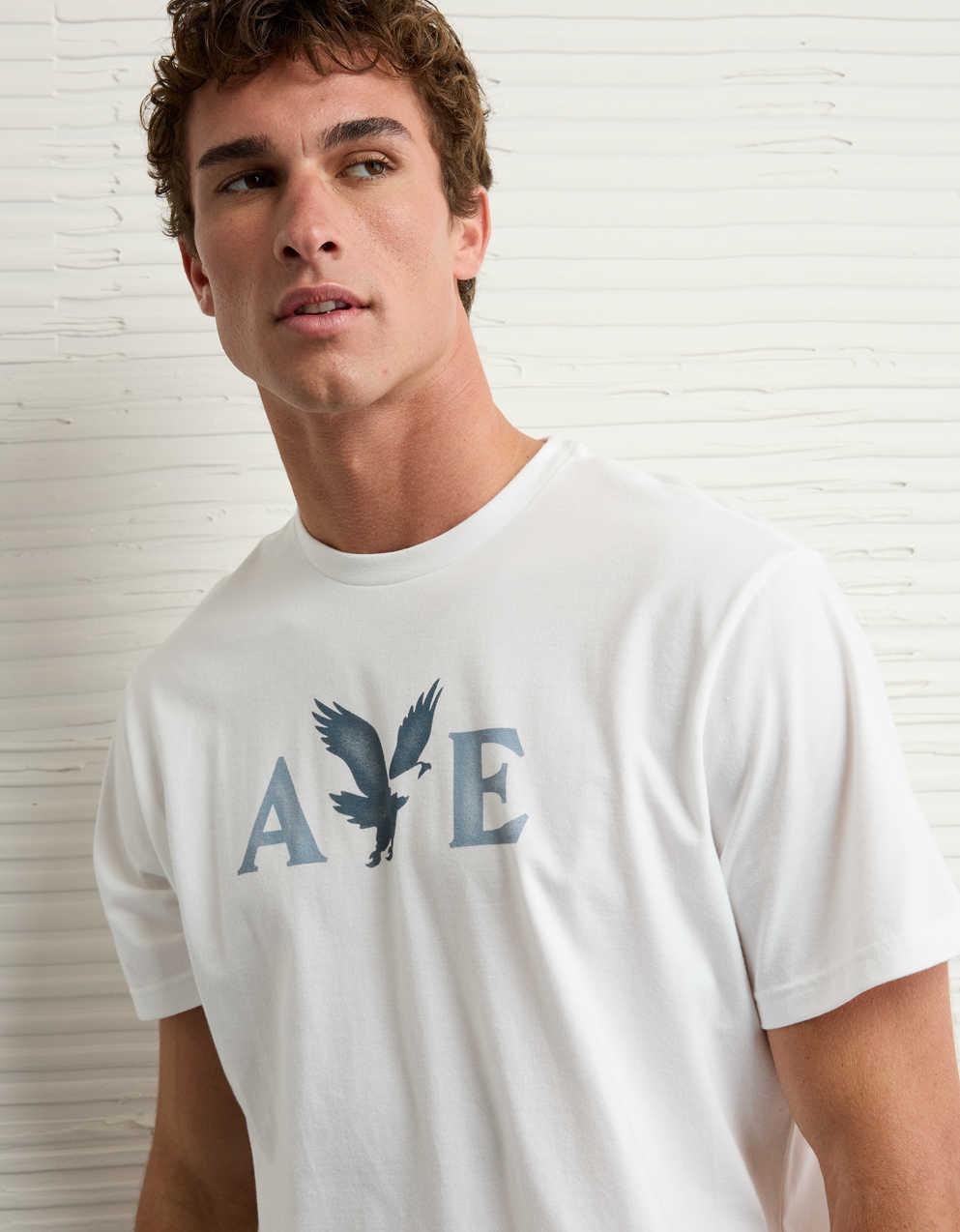 AEライトウェイト・アイコン・ロゴ・グラフィックTシャツ