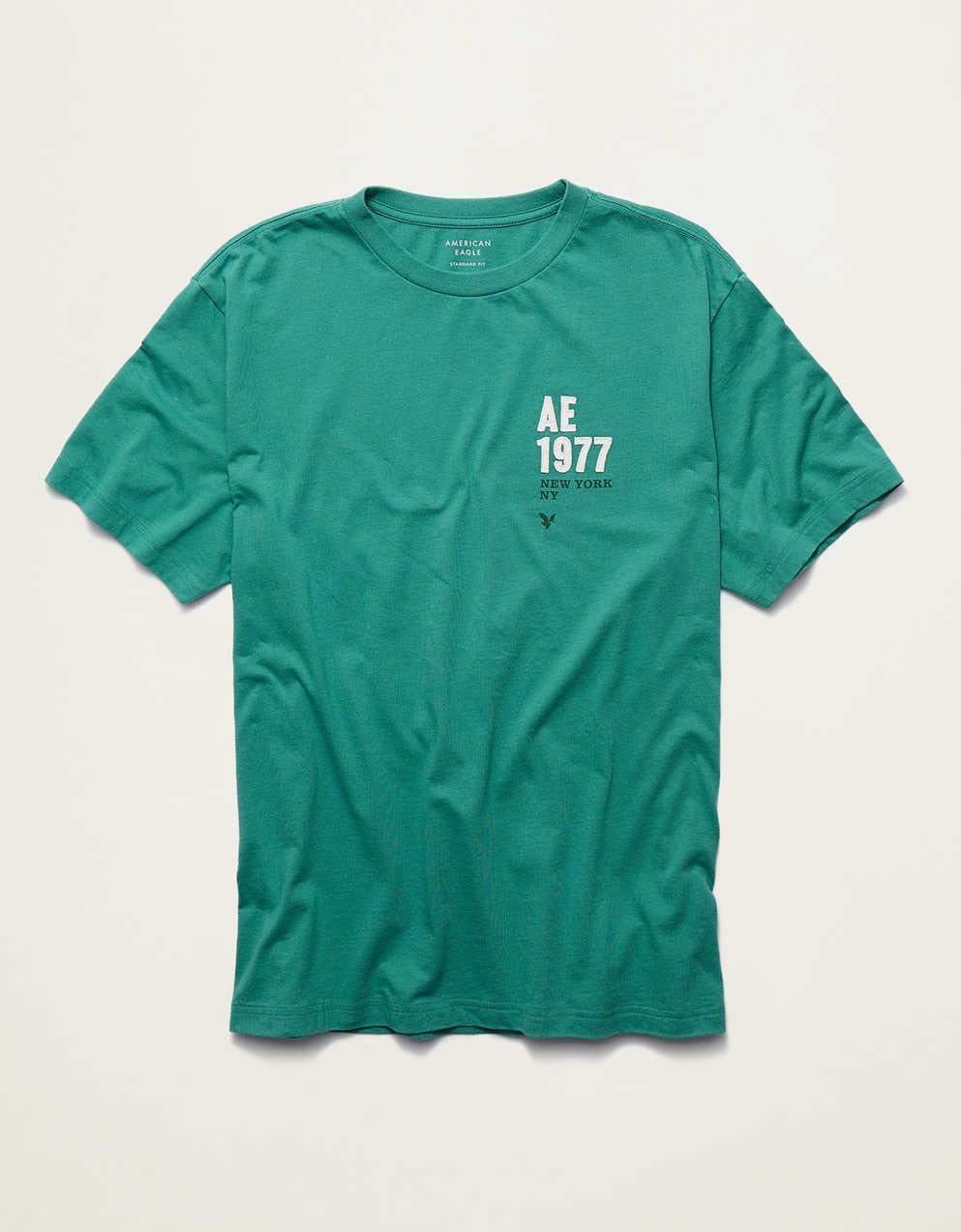 AE スタンダードフィット アップリケ柄Tシャツ