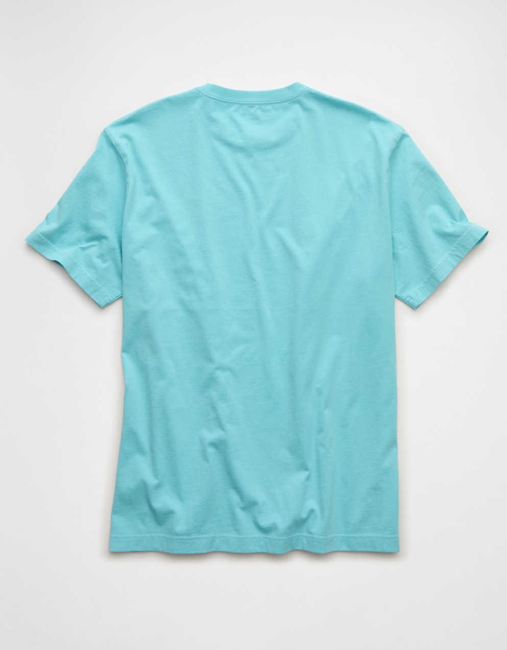 AE Standard Fit Destination Graphic T-Shirt