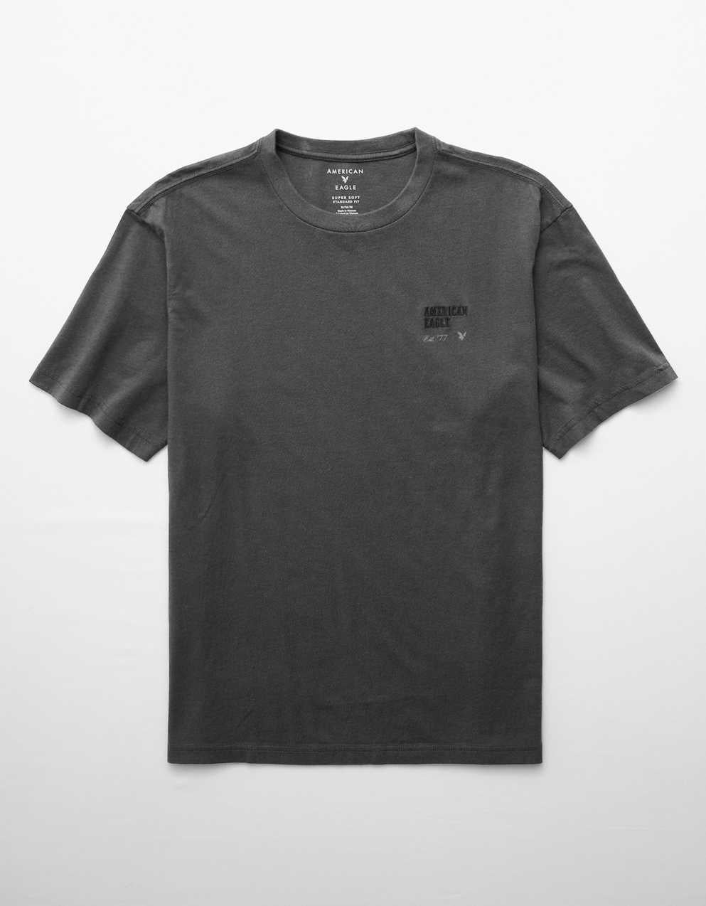 AEスタンダードフィットロゴグラフィックTシャツ