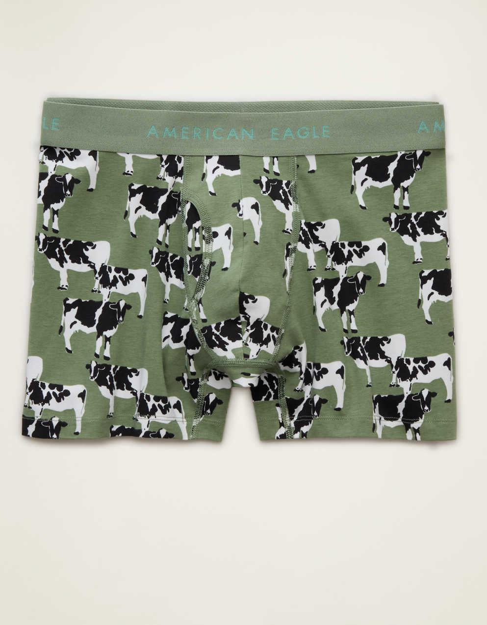 AEO Men's 4.5" Classic Boxer Brief
