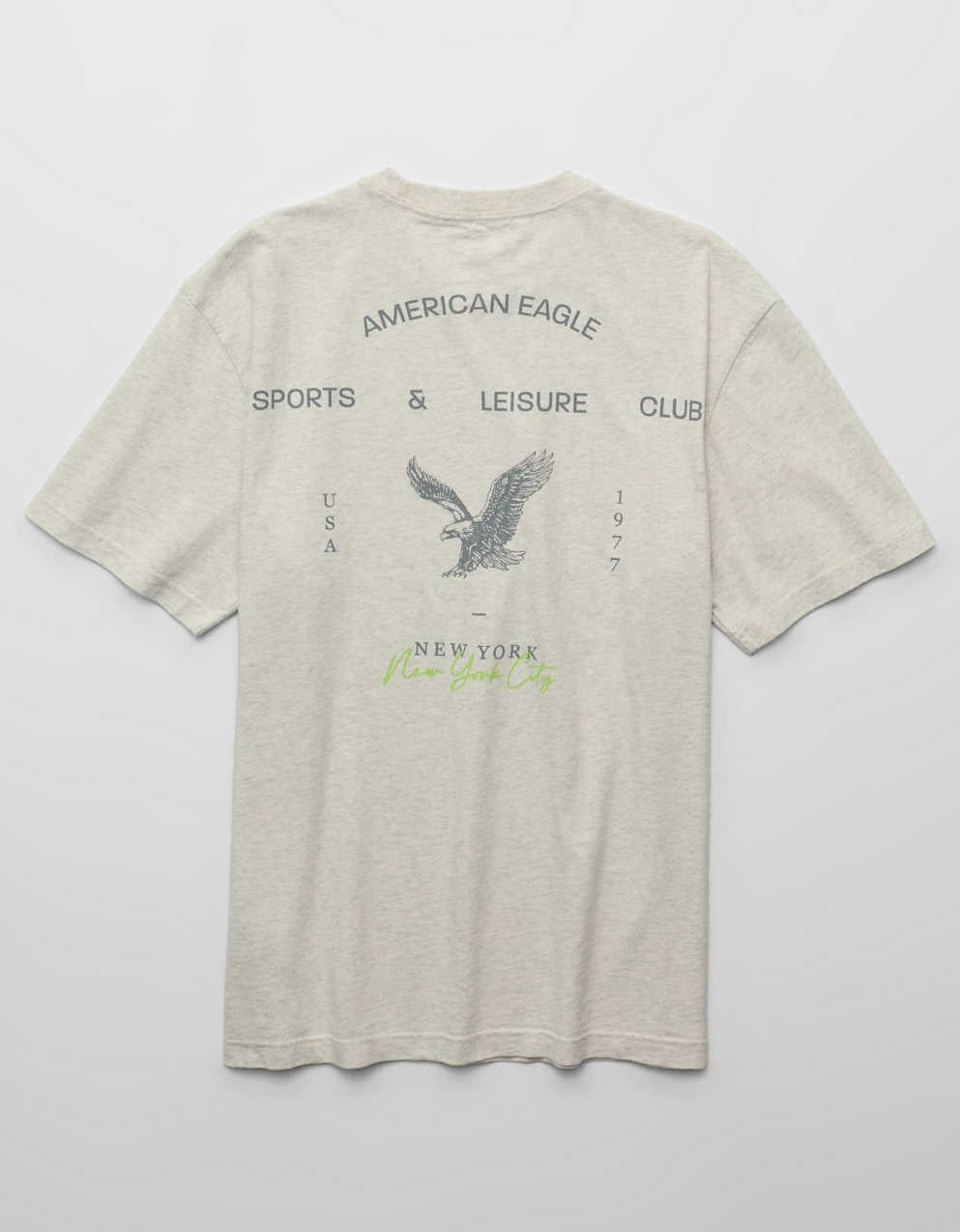 AE スタンダード・フィット・グラフィックTシャツ