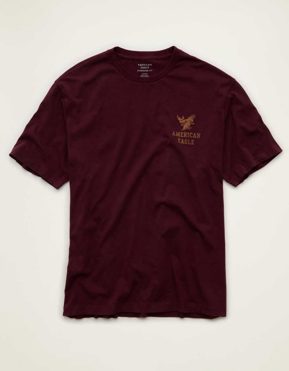 AE スタンダード・フィット・グラフィック・ロゴTシャツ