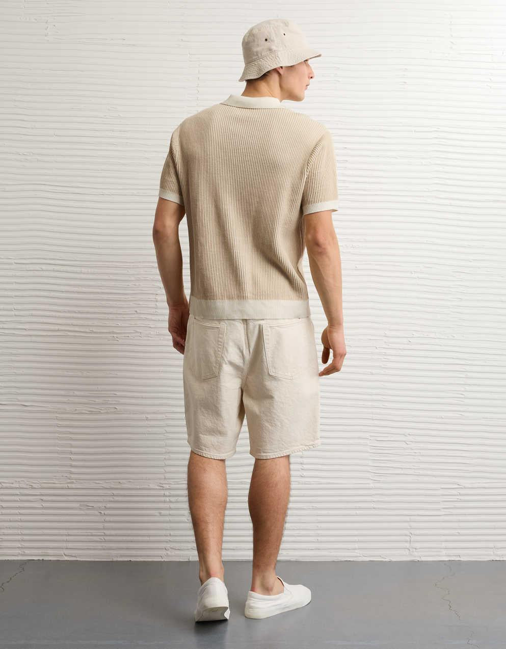 AE Striped Button-Up Sweater Polo