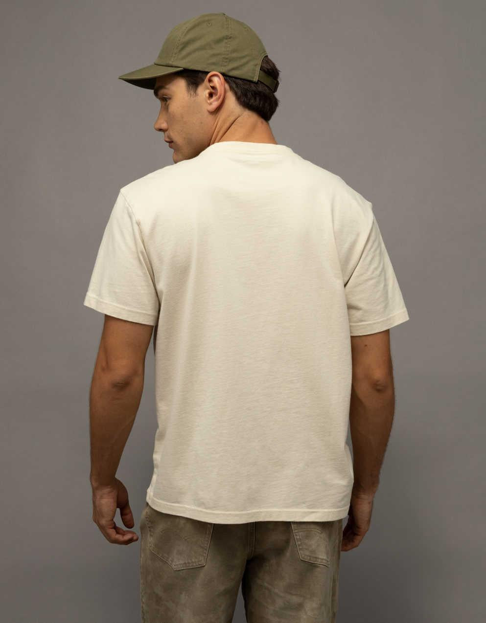 AE スタンダード・フィット・グラフィックTシャツ