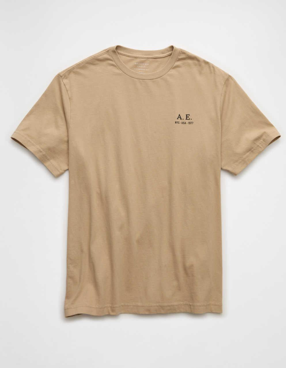 AEスタンダードフィットロゴグラフィックTシャツ