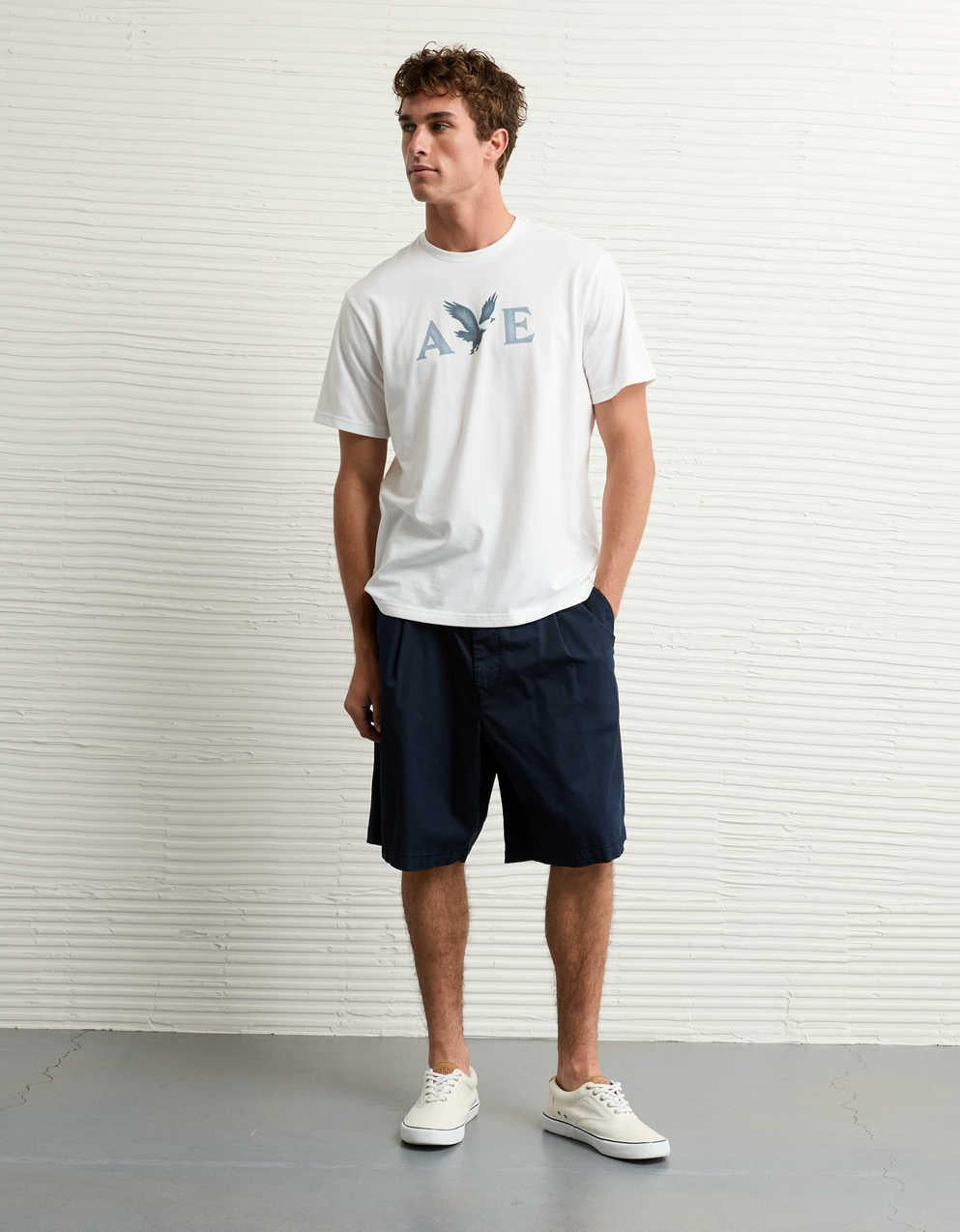 AEライトウェイト・アイコン・ロゴ・グラフィックTシャツ