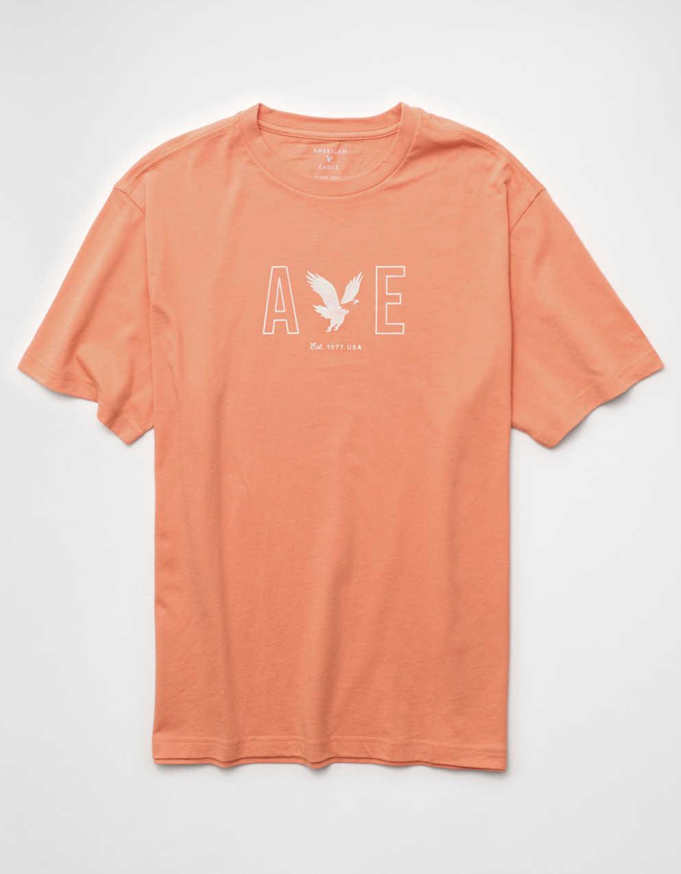 AE スタンダード・フィット ライトウェイト ロゴ グラフィック Tシャツ